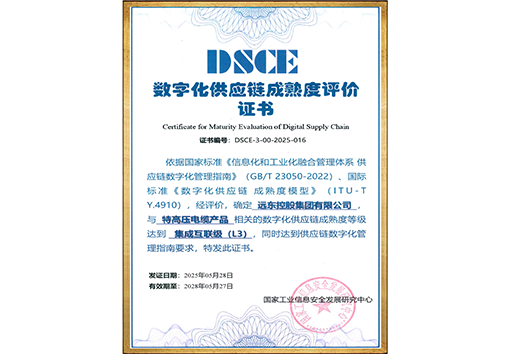 Digital Supply Chain Maturity Evaluation Certificate